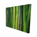 Fondo 16 x 20 in. Bamboo Plant-Print on Canvas FO2790447